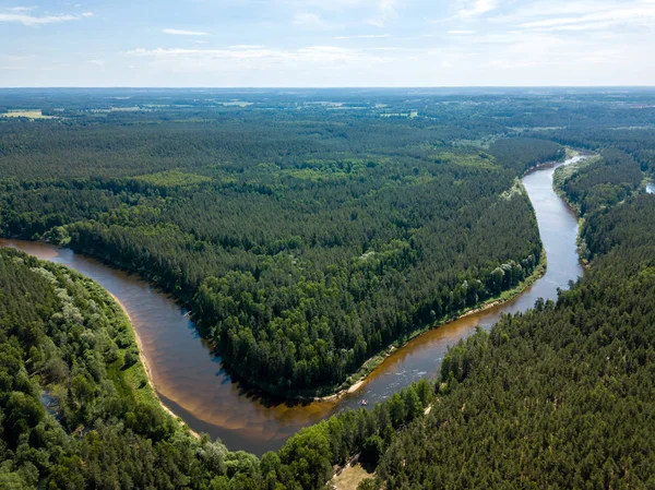 ドローンのイメージ 深い緑の森のヘビ川の空撮 ラトビアのガウヤ — ストック写真