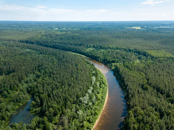 drone görüntü. havadan görünümü yılan nehrin derin yeşil ormanlarda. Gauja Letonya