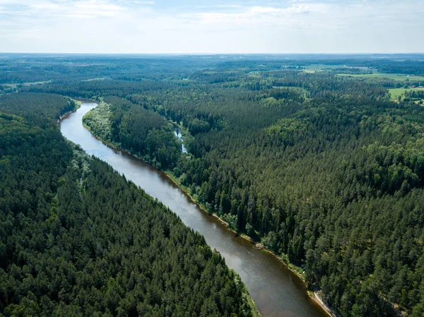 ドローンのイメージ 深い緑の森のヘビ川の空撮 ラトビアのガウヤ — ストック写真
