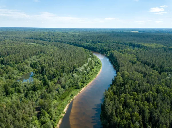 Drone Image Aerial View Snake River Deep Green Forests Gauja — Stock Photo, Image