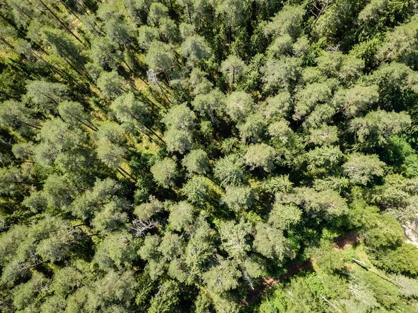 Зображення Безпілотника Вид Повітря Сільську Місцевість Полями Лісами Хмарний Весняний — стокове фото