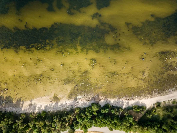 İHA görüntüsü. Baltık deniz kıyısında karada kayalar ve ormanlar olan hava manzarası. Letonya plajı