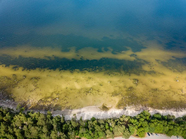 İHA görüntüsü. Baltık deniz kıyısında karada kayalar ve ormanlar olan hava manzarası. Letonya plajı