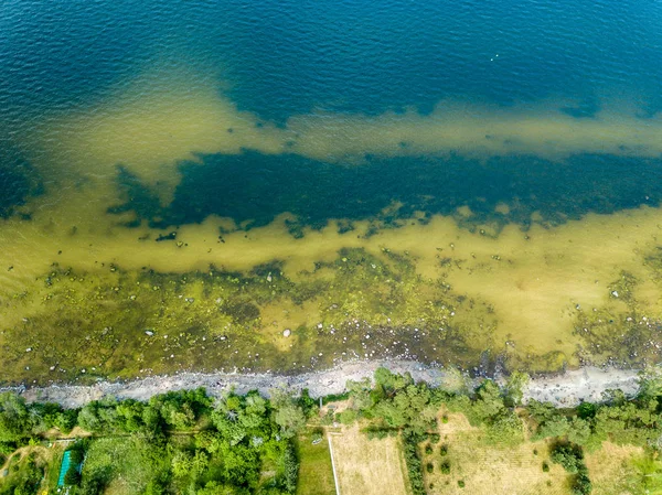 İHA görüntüsü. Baltık deniz kıyısında karada kayalar ve ormanlar olan hava manzarası. Letonya plajı