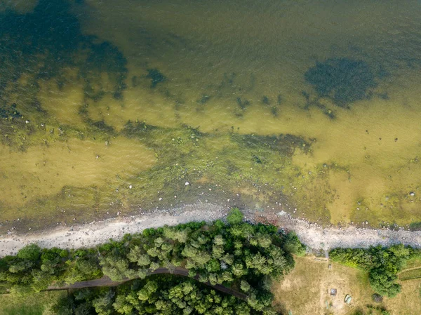 İHA görüntüsü. Baltık deniz kıyısında karada kayalar ve ormanlar olan hava manzarası. Letonya plajı