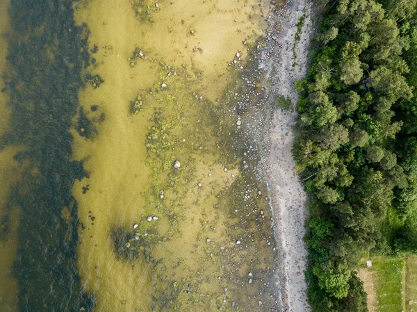 İHA görüntüsü. Baltık deniz kıyısında karada kayalar ve ormanlar olan hava manzarası. Letonya plajı