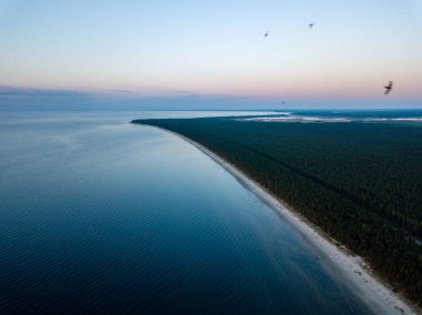 drone görüntü. deniz Beach havadan görünümü kırmızı günbatımı. sahil hattı. Baltık Denizi, toz