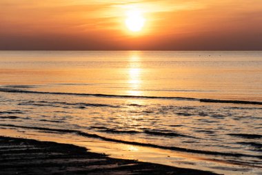 Sahilde deniz kuşları ile dramatik gün batımı. kırmızı renkli gökyüzü bulutlu