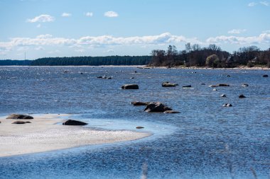 ağaçlar ve manzarası ile Baltık Denizi kayalık plaj