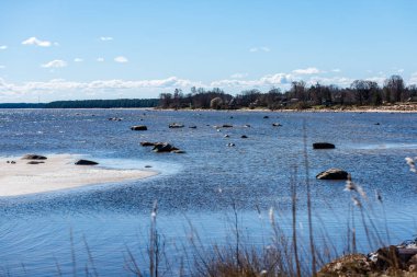 ağaçlar ve manzarası ile Baltık Denizi kayalık plaj