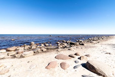 ağaçlar ve manzarası ile Baltık Denizi kayalık plaj