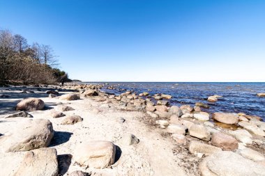 ağaçlar ve manzarası ile Baltık Denizi kayalık plaj