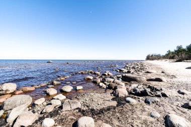 ağaçlar ve manzarası ile Baltık Denizi kayalık plaj