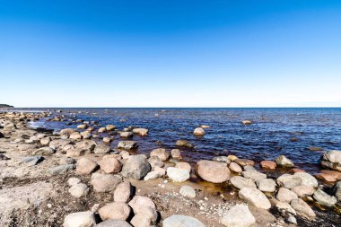 ağaçlar ve manzarası ile Baltık Denizi kayalık plaj