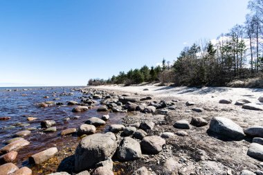 ağaçlar ve manzarası ile Baltık Denizi kayalık plaj
