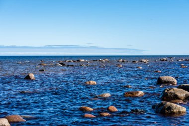 ağaçlar ve manzarası ile Baltık Denizi kayalık plaj