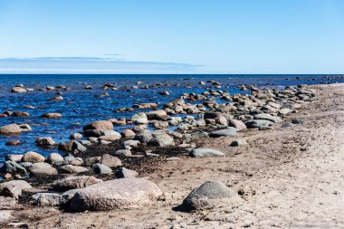 ağaçlar ve manzarası ile Baltık Denizi kayalık plaj