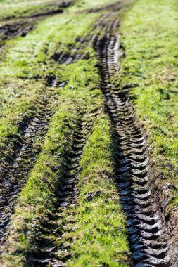 Traktör lastiği yeşil çim izler. Baharda çamur