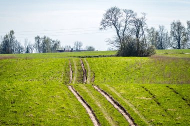Traktör lastiği yeşil çim izler. Baharda çamur