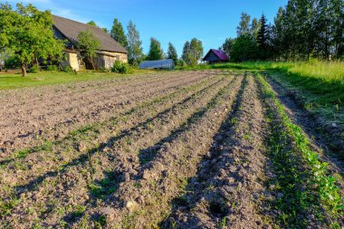 Sürülmüş arazi görünümüdür. Gozlerime Pulluk üzerinden. Tarım ekime hazırlanması. Letonya