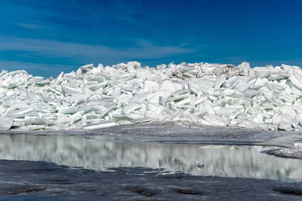 Lacul Înghețat Acoperit Teanc Flori Gheață Cer Albastru Latvia Iarna — Fotografie, imagine de stoc