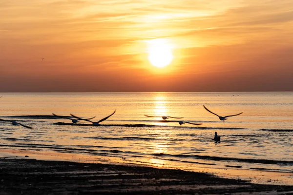 Bom Dia Paisagem Fotografias De Banco De Imagens Imagens Livres De Direitos Autorais Bom Dia Paisagem Depositphotos