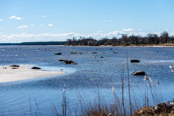 ağaçlar ve manzarası ile Baltık Denizi kayalık plaj