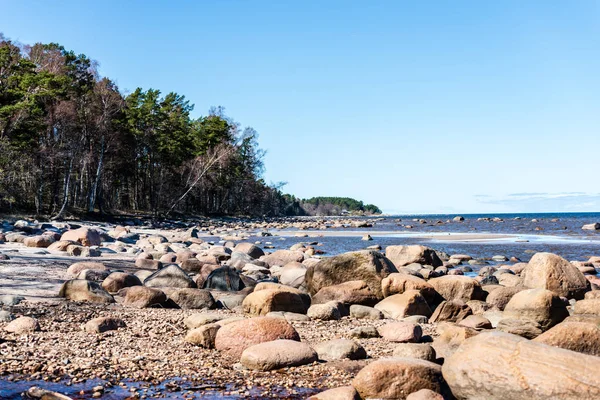 ağaçlar ve manzarası ile Baltık Denizi kayalık plaj