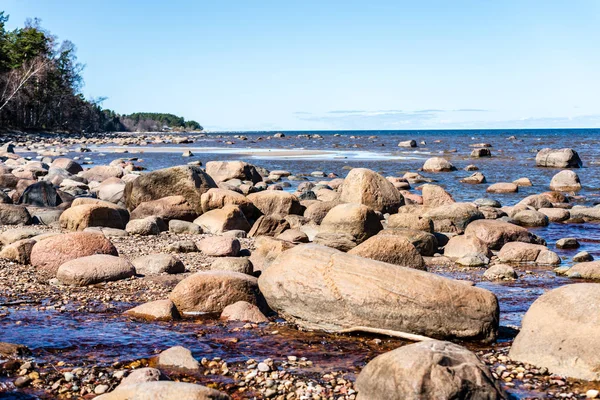 在波罗的海的岩石海滩与树木和地平线 — 图库照片