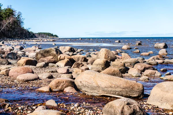 Stenig Strand Östersjön Med Träd Och Skyline — Stockfoto