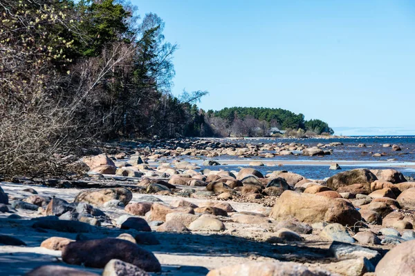 ağaçlar ve manzarası ile Baltık Denizi kayalık plaj