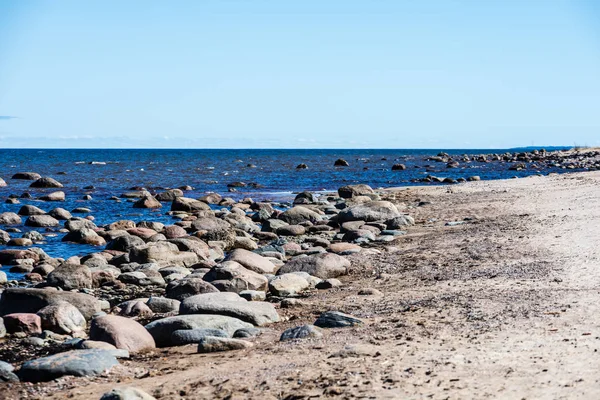 Stenig Strand Östersjön Med Träd Och Skyline — Stockfoto