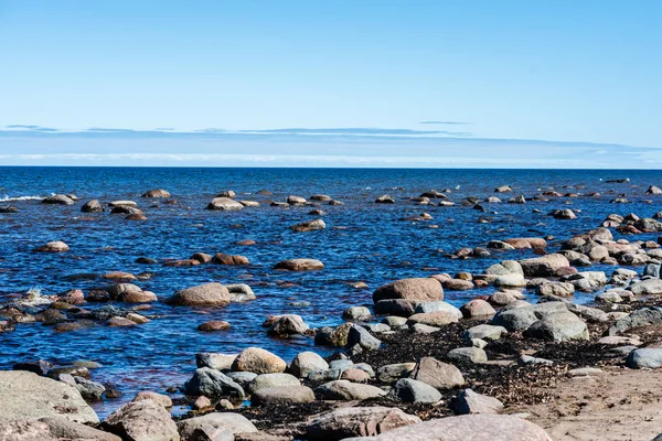 ağaçlar ve manzarası ile Baltık Denizi kayalık plaj