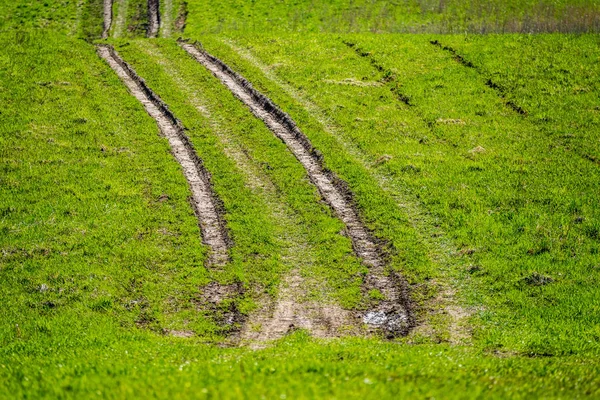Ślady Opon Ciągnika Zielonej Trawie Błoto Wiosnę — Zdjęcie stockowe