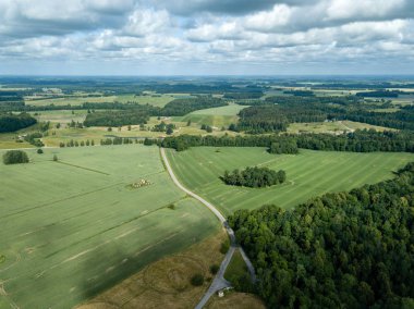 Drone görüntü. alanları ve ormanları ile kırsal bölgenin havadan görünümü