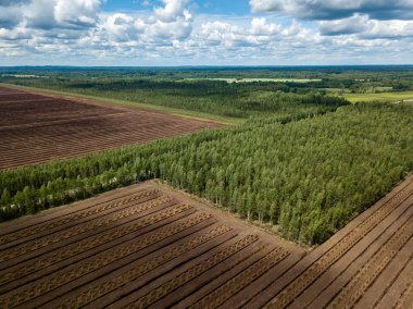 drone görüntü. kırsal alan havadan görünümü çim yakıt hücreleri geliştirme ve Letonya depolama alanları ile