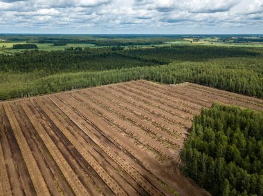 drone görüntü. kırsal alan havadan görünümü çim yakıt hücreleri geliştirme ve Letonya depolama alanları ile