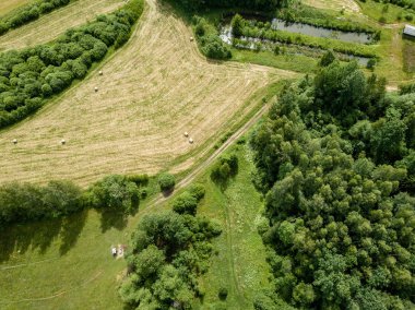 Drone görüntü. alanları ve bulutlu bahar günü ormanlarda kırsal alan hava görünümünü. Letonya
