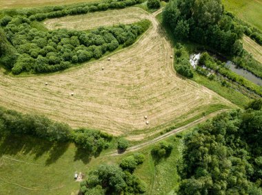 Drone görüntü. alanları ve bulutlu bahar günü ormanlarda kırsal alan hava görünümünü. Letonya