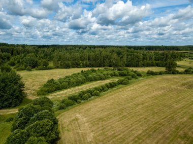 Drone görüntü. alanları ve bulutlu bahar günü ormanlarda kırsal alan hava görünümünü. Letonya