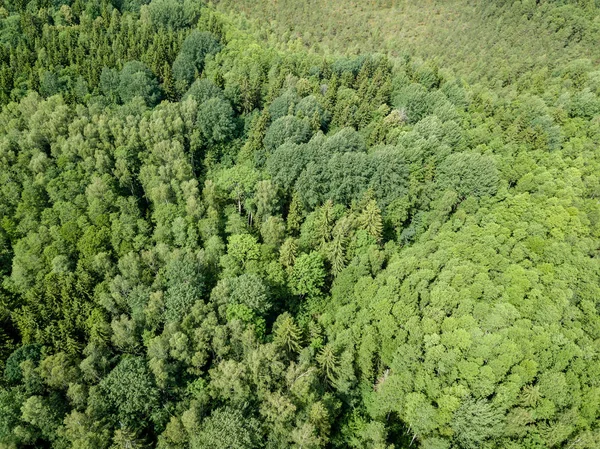 drone image. aerial view of rural area with fields and forests in cloudy spring day. latvia