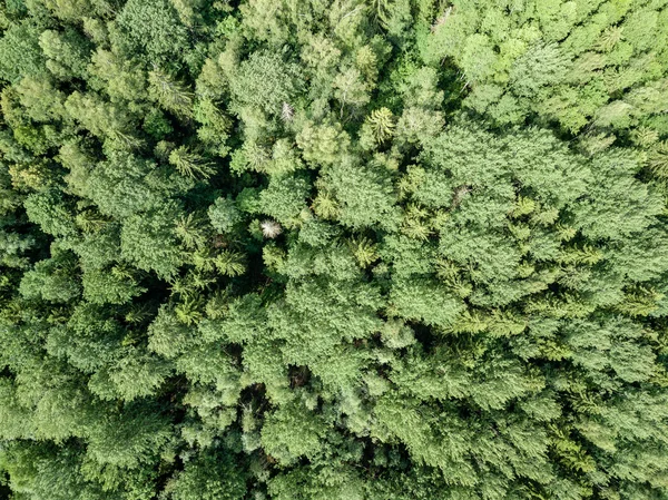 Imagem Drone Vista Aérea Área Rural Com Campos Florestas Dia — Fotografia de Stock