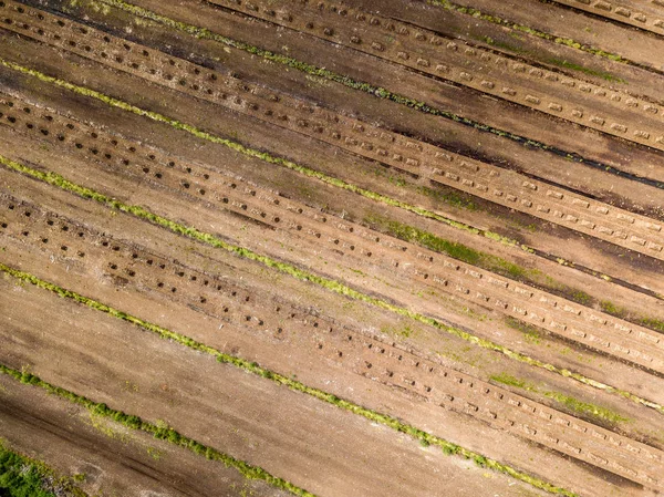 Afbeelding Van Drone Luchtfoto Van Landelijk Gebied Met Velden Van — Stockfoto