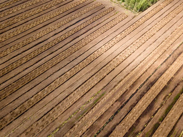 ドローンのイメージ 芝燃料電池開発とラトビアのストレージの分野で農村地域の航空写真 — ストック写真