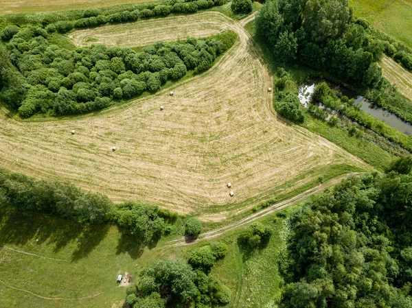 Drone görüntü. alanları ve bulutlu bahar günü ormanlarda kırsal alan hava görünümünü. Letonya
