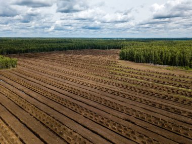 drone görüntü. kırsal alan havadan görünümü ile çim devel alanlarında
