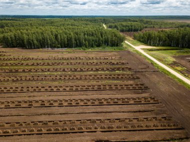 drone görüntü. kırsal alan havadan görünümü çim yakıt hücreleri geliştirme ve Letonya depolama alanları ile