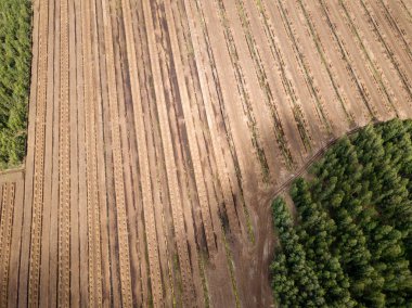 drone görüntü. kırsal alan havadan görünümü çim yakıt hücreleri geliştirme ve Letonya depolama alanları ile