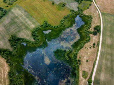 Drone görüntü. alanları ve bulutlu bahar günü ormanlarda kırsal alan hava görünümünü. Letonya