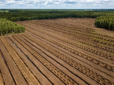 drone görüntü. kırsal alan havadan görünümü çim yakıt hücreleri geliştirme ve Letonya depolama alanları ile